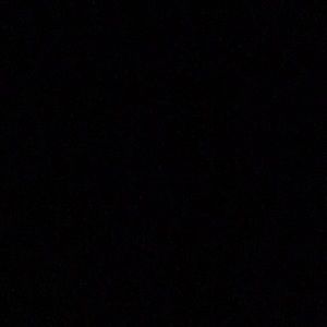 Meet your Posher, Darlene